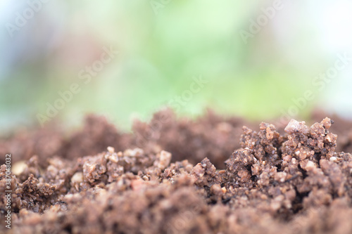 Macro shot of sandy soil