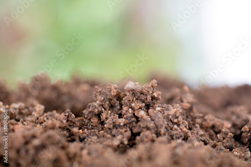 Macro shot of sandy soil