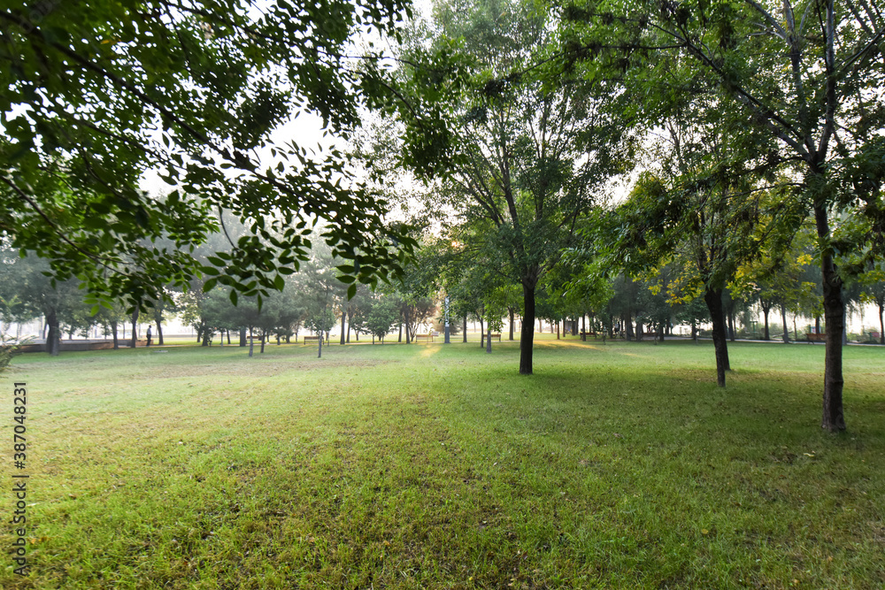The lawns, trees and seats for people to rest in the city park, the natural scenery