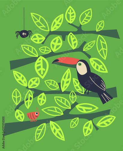 tucan