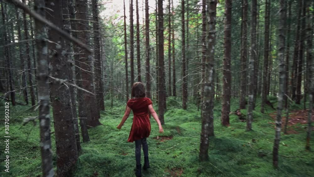 Camera following a little girl in a red dress, running and jumping through a dense spruce forest. Camera following a little girl in a red dress, running and jumping through a dense spruce forest.