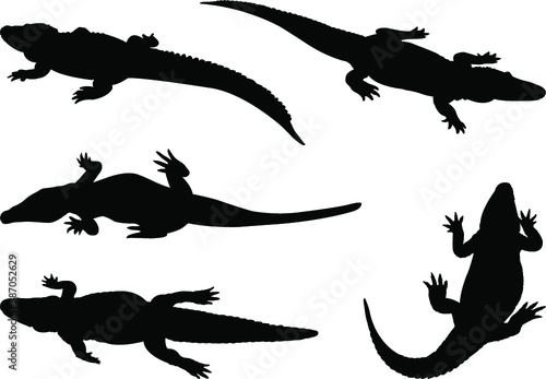 set of silhouettes of alligator