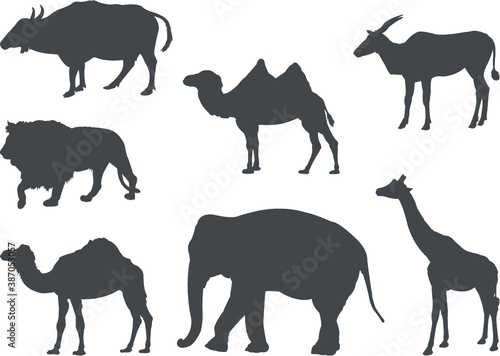 Fototapeta Naklejka Na Ścianę i Meble -  set of wild animals silhouette