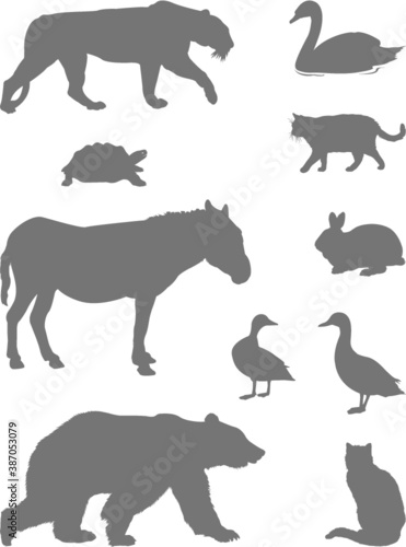 set of animals silhouette