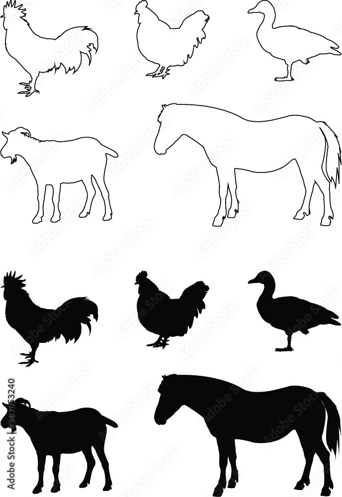 farm animals collection