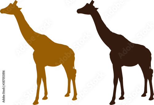 giraffe illustration