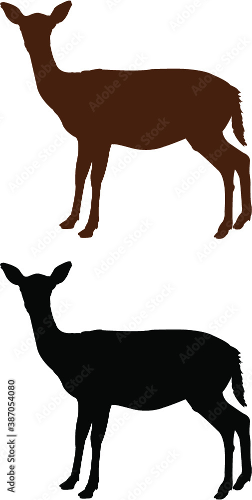 Fototapeta premium deer vector