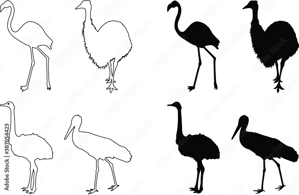 Fototapeta premium set of birds silhouettes