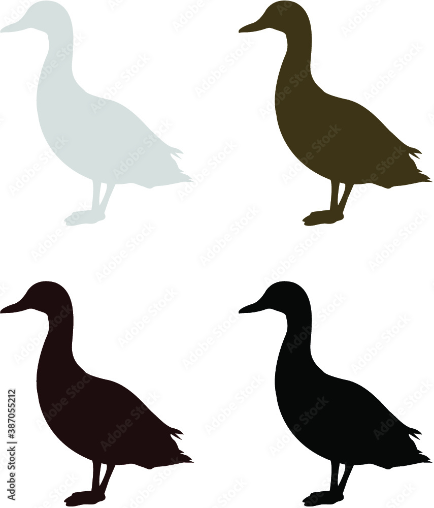 set of ducks set of ducks