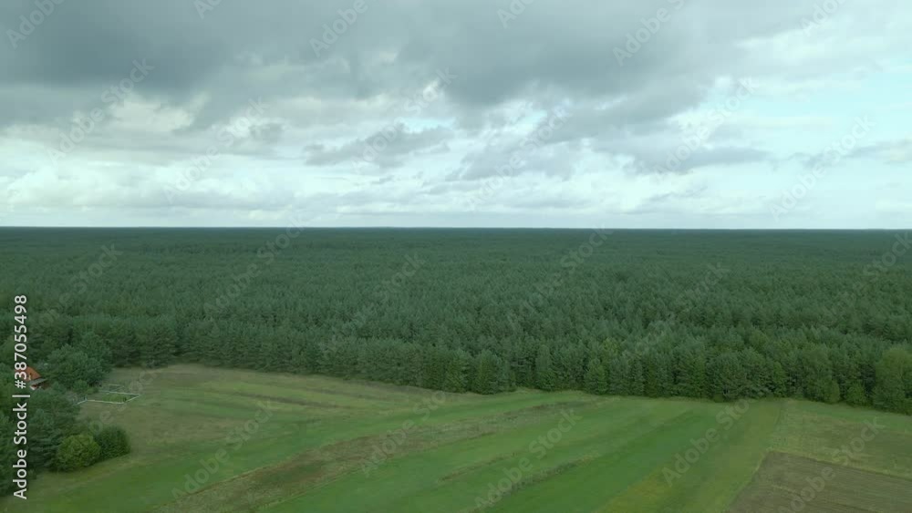 Bird's eye view flying over endless dense green forest on a cloudy day Kowalskie Blota, Poland, daytime Aerial
Bird's eye view flying over endless dense green forest on a cloudy day Kowalskie Blota, Poland, daytime Aerial