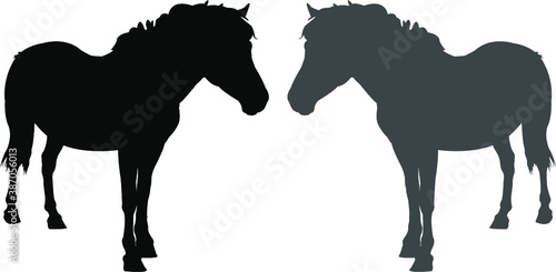 silhouette of a horses