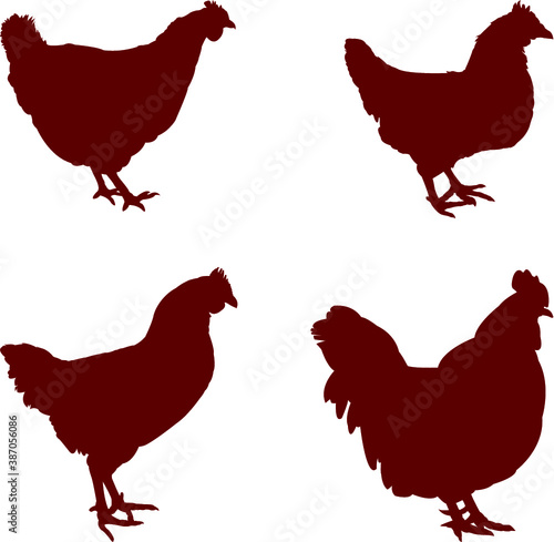set of chicken