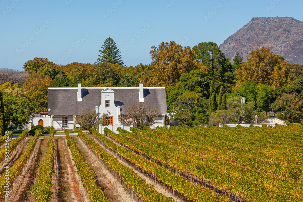 Fototapeta premium A beautiful Cape Dutch homestead in the grounds of Groot Constantia in Cape Town, South Africa.