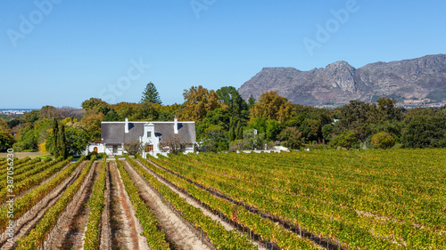 Cape Dutch Homestead