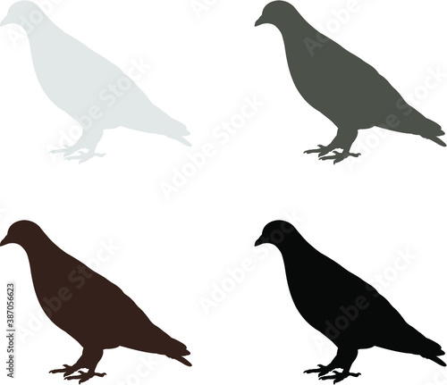 set of pigeons