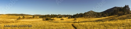 Wide Panoramic Landscape Scenic View of Alpine Meadows and Natural Grassland in Cuyamaca Rancho State Park east San Diego County on a sunny winter day