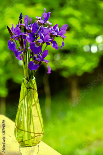 purple flowers in a green vase