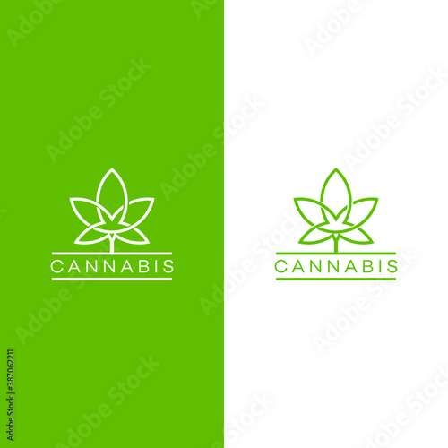 leaf canabis oil  logo design vector