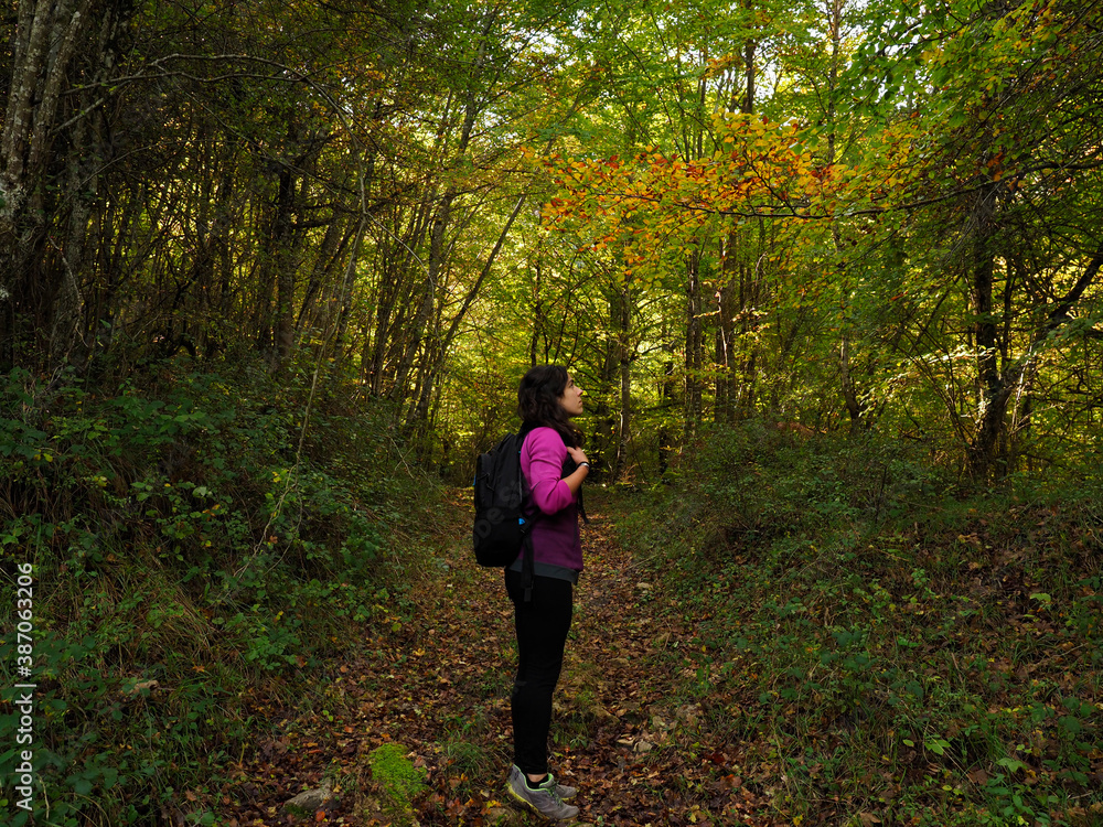 Fototapeta premium young woman walking in the forest with a backpack