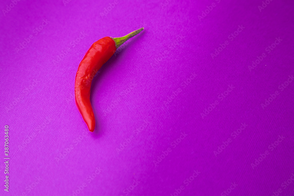 hot red chili, on purple background