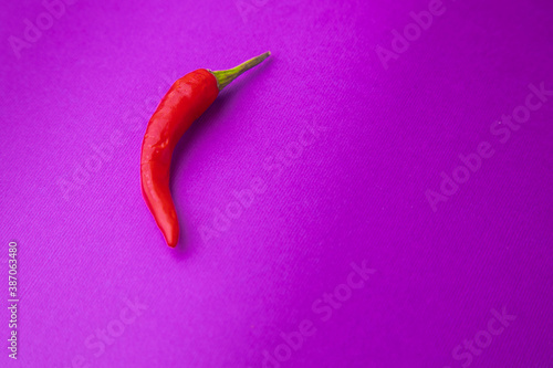 Obraz na płótnie hot red chili, on purple background w salonie