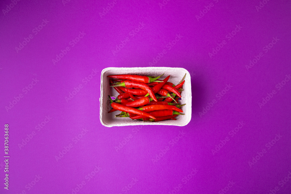 hot red chili, on purple background hot red chili, on purple background