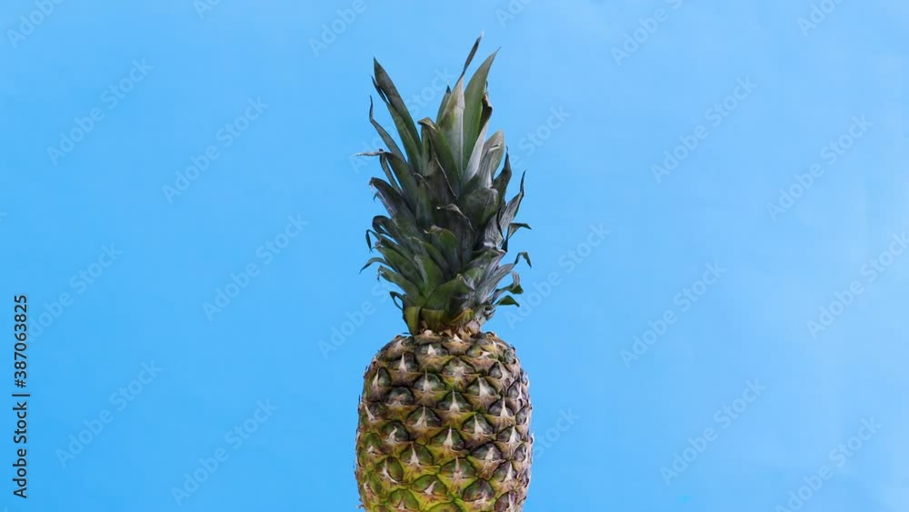 Pineapple rotating slow and fast on blue theme Pineapple rotating slow and fast on blue theme