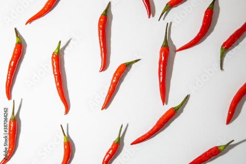 hot red chili, on white background
