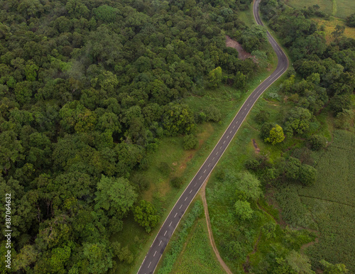 Road through a Rain forest
