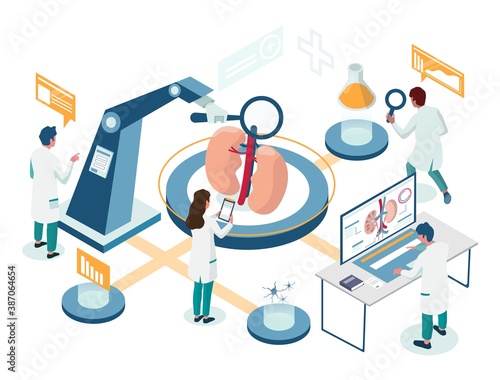 Kidney laboratory research isometric flowchart, vector illustration. Male and female characters working in nephrology laboratory. Kidney disease lab study.