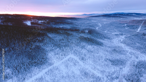 Aerial Winter forest after snow at sunset  Fairbanks  Alaska