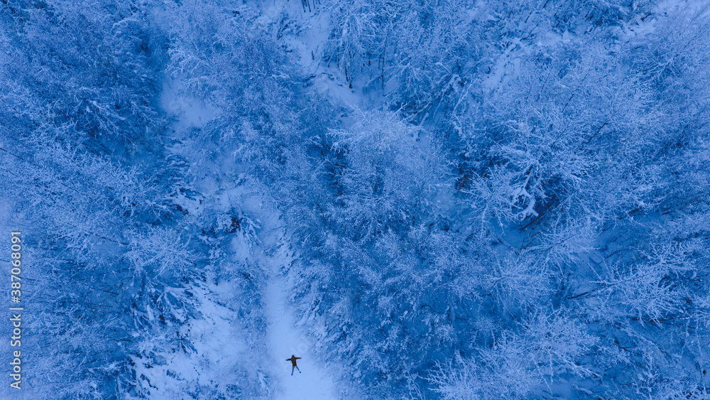 Aerial Winter forest after snow, Fairbanks, Alaska Aerial Winter forest after snow, Fairbanks, Alaska