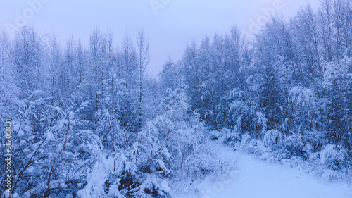 Aerial Winter forest after snow, Fairbanks, Alaska