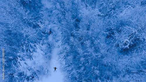 Aerial Winter forest after snow  Fairbanks  Alaska