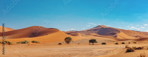 dunes in sossusvlei with wind shapes the sand dunes  Namibia arid wilderness landscape