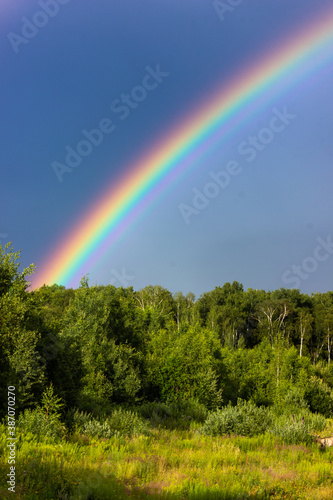 Rainbow over the summer mixed forest, cloudy sky and clear rainbow colors, forest road. Natural landscape. Rainbow colors after rain. Rain clouds.