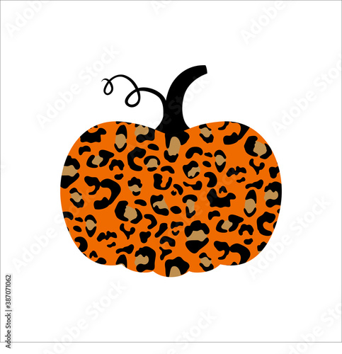 Leopard pumpkin3
