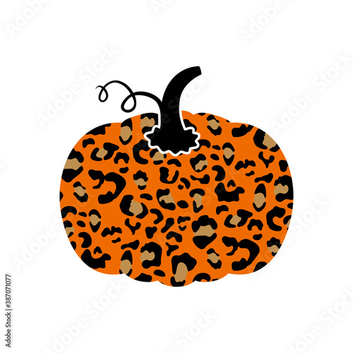 Leopard pumpkin2