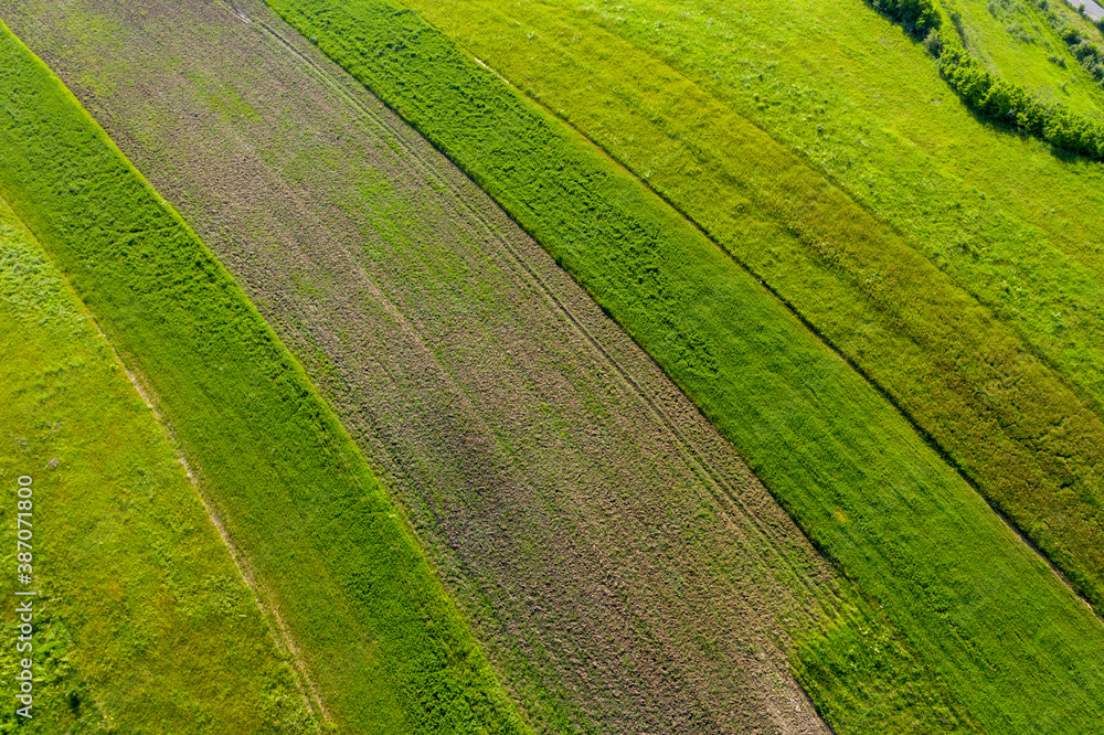 Aerial view of green agricultural field, drone point of view Aerial view of green agricultural field, drone point of view