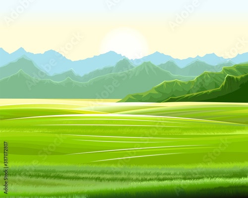 Rural hills. Scenery. Vector. Pasture grass for cows and a place for a vegetable garden and farm. Meadows and trees. Horizon. Beautiful view. Summer.