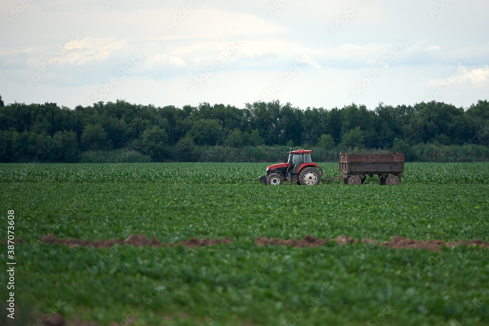 Tractor work in the field Tractor Growth, monoculture. Tractor work in the field Tractor Growth, monoculture.