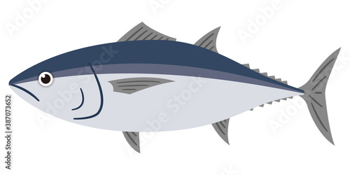 マグロのイラストレーション