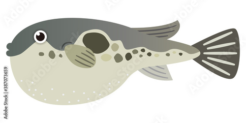 フグのイラストレーション