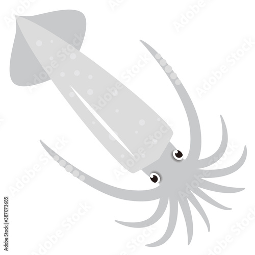 イカのイラストレーション