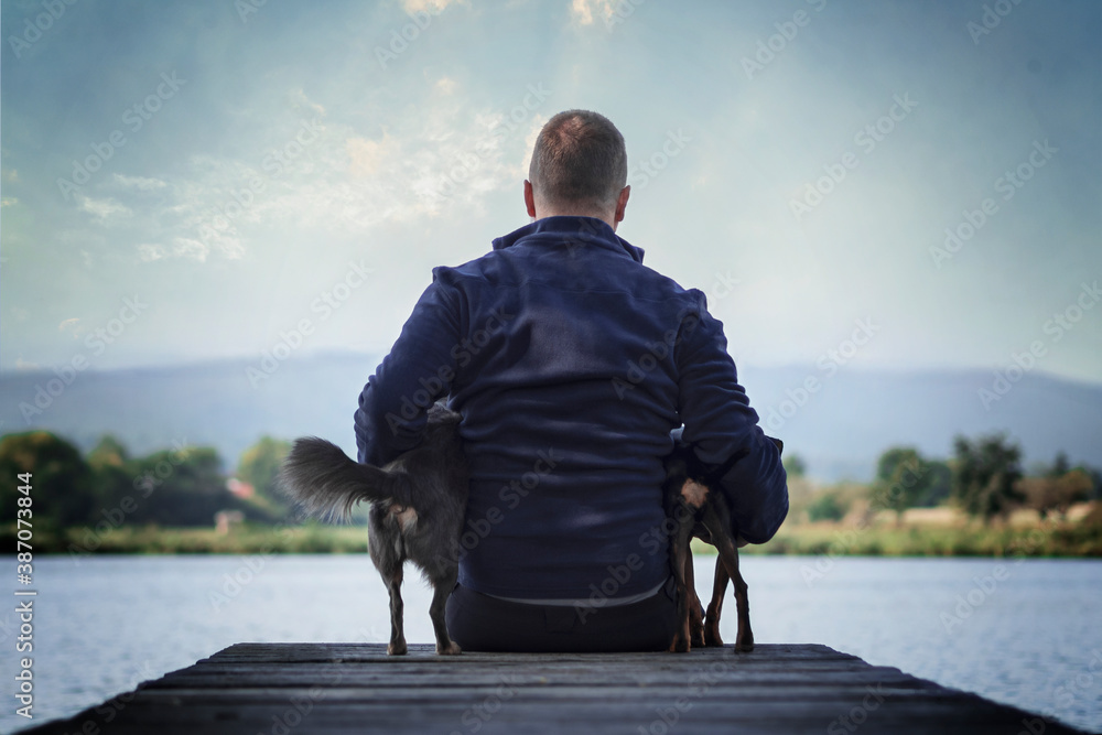Fototapeta premium Portrait Mann sitzt mit Hunden auf Steg Brücke und schaut in die Ferne