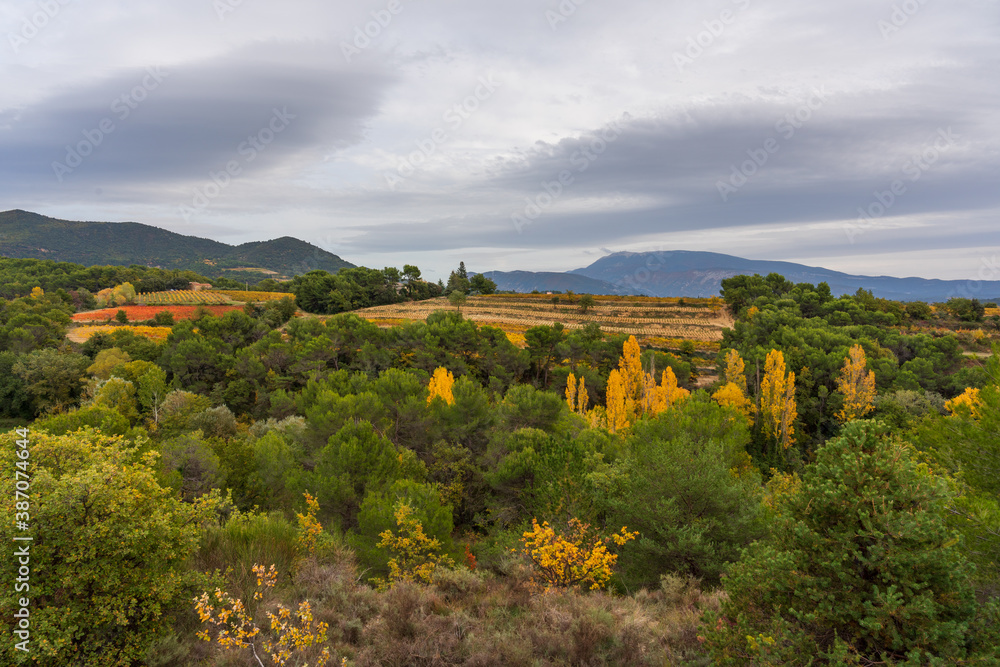 Naklejka premium Vue sur le Mont-Ventoux à partir de Piégon en automne