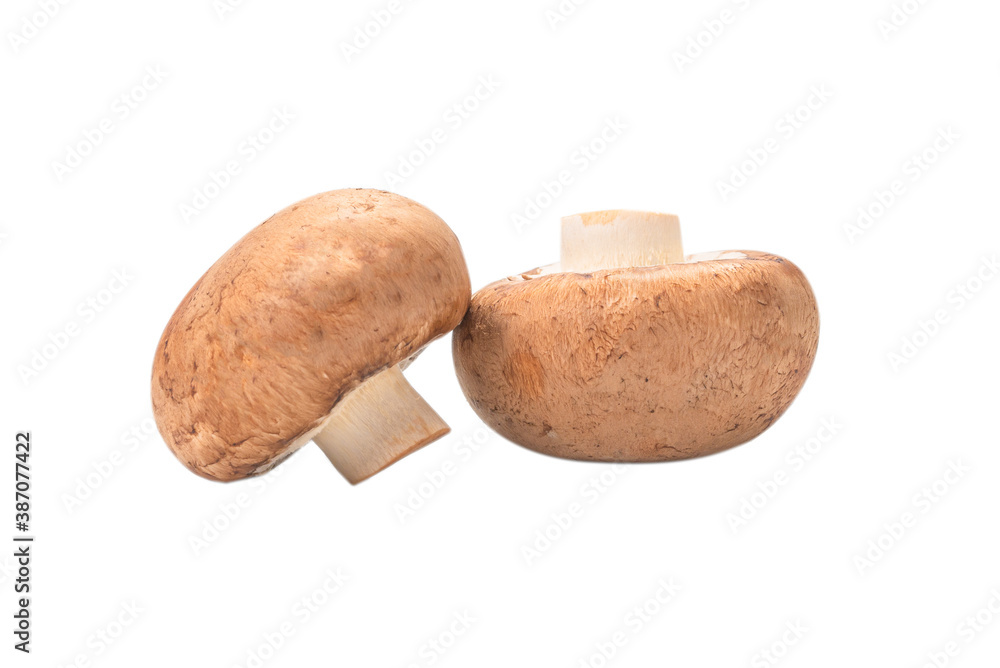 Tasty mushroom isolated on white background. Tasty mushroom isolated on white background.