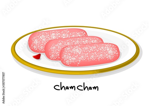 Cham Cham indian Sweet Dish Food Vector