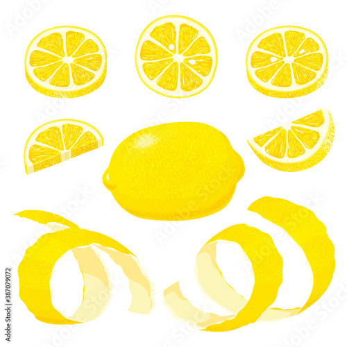 Set of whole, cut in half, sliced on pieces fresh lemons and lemon peel. Hand drawn vector illustration isolated on white background