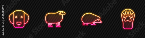 Set line Hedgehog, Dog, Sheep and Paw print. Glowing neon icon. Vector.